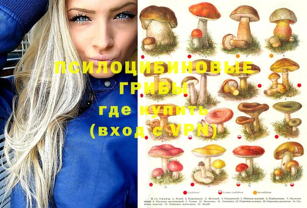 винт Белокуриха