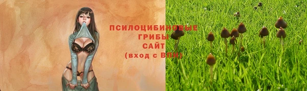 винт Белокуриха