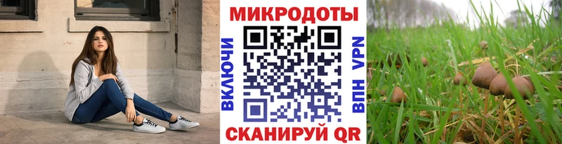 Галлюциногенные грибы Psilocybe  Купить закладки  Кукмор 